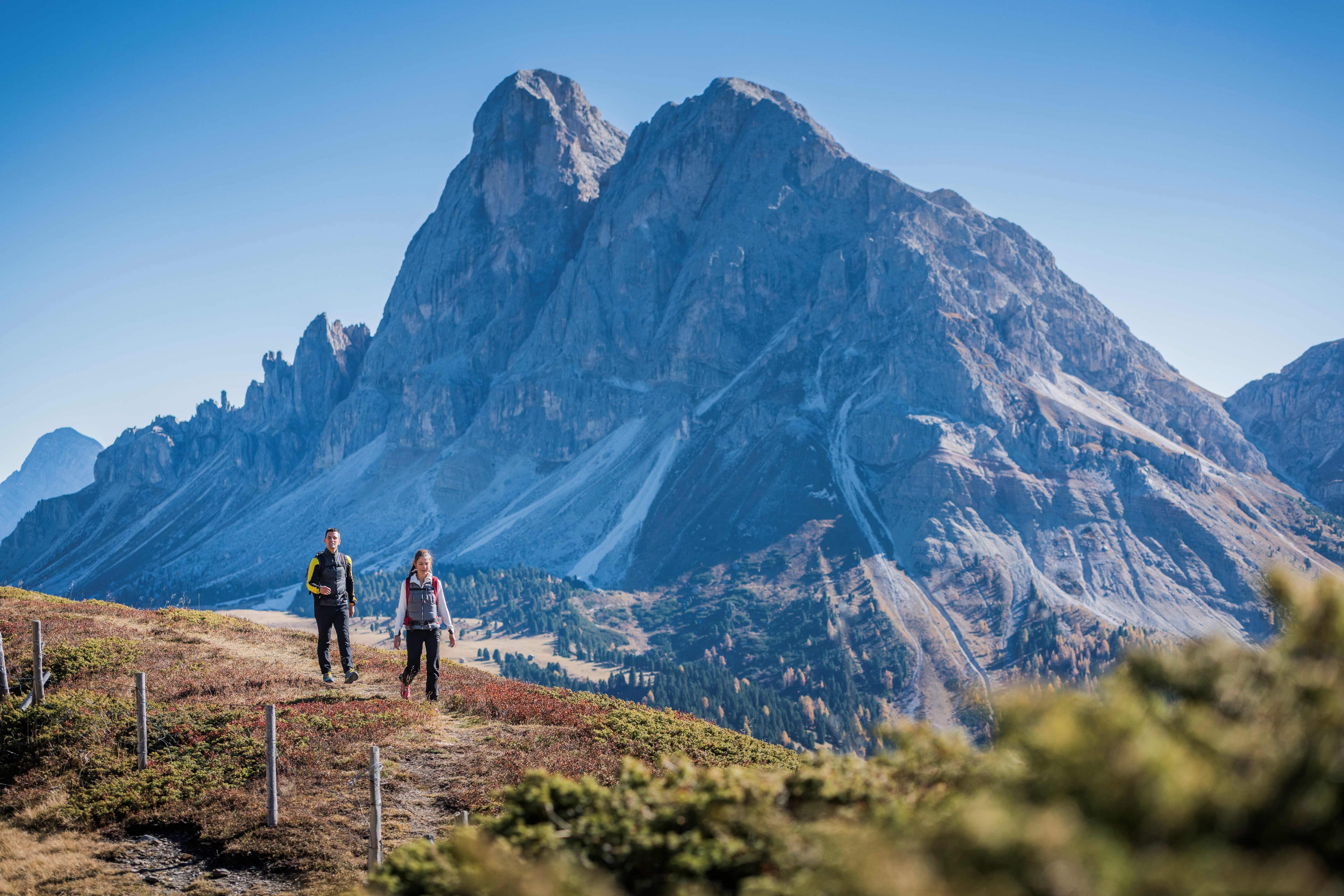 Taxi & Ride Service in the Dolomites | tommy Bolzano, Merano & Bressanone App