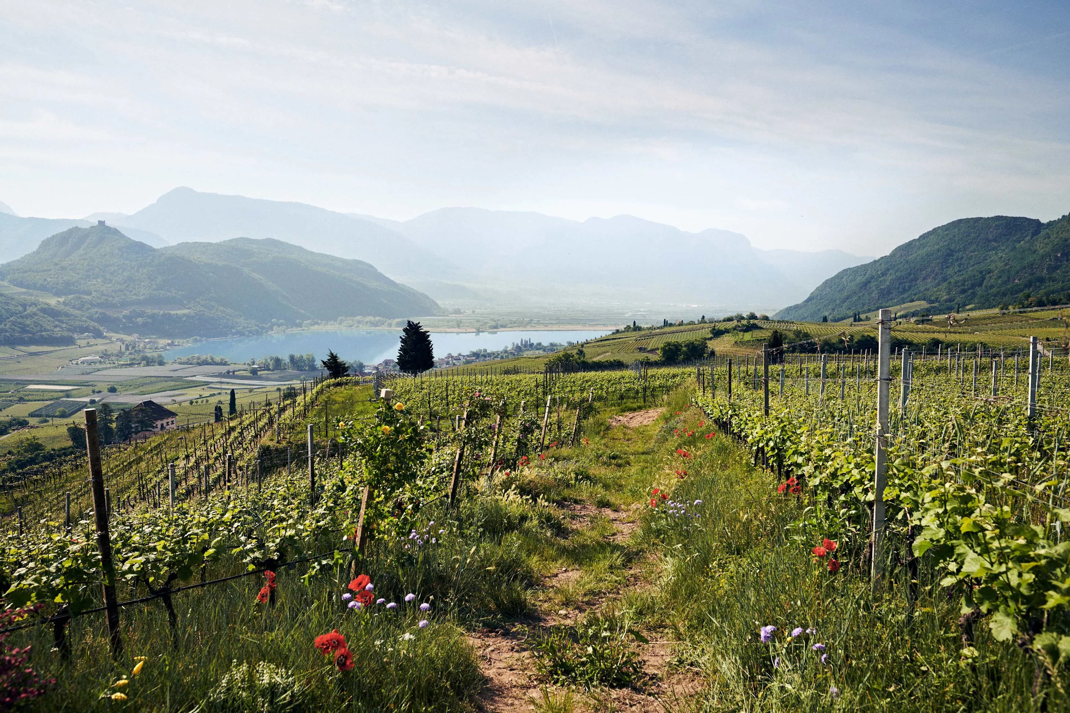 Flughafentransfer Südtirol – Shuttle & Privattransfer vom Flughafen direkt zu Ihrer Unterkunft