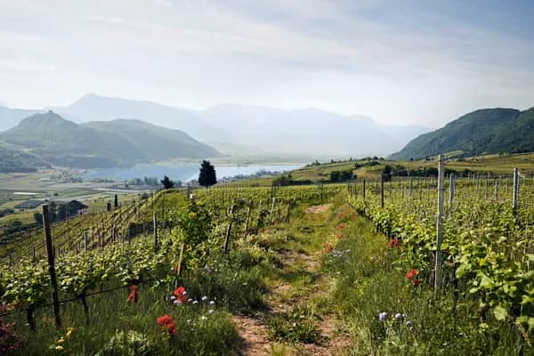 Flughafentransfer Südtirol – Shuttle & Privattransfer vom Flughafen direkt zu Ihrer Unterkunft
