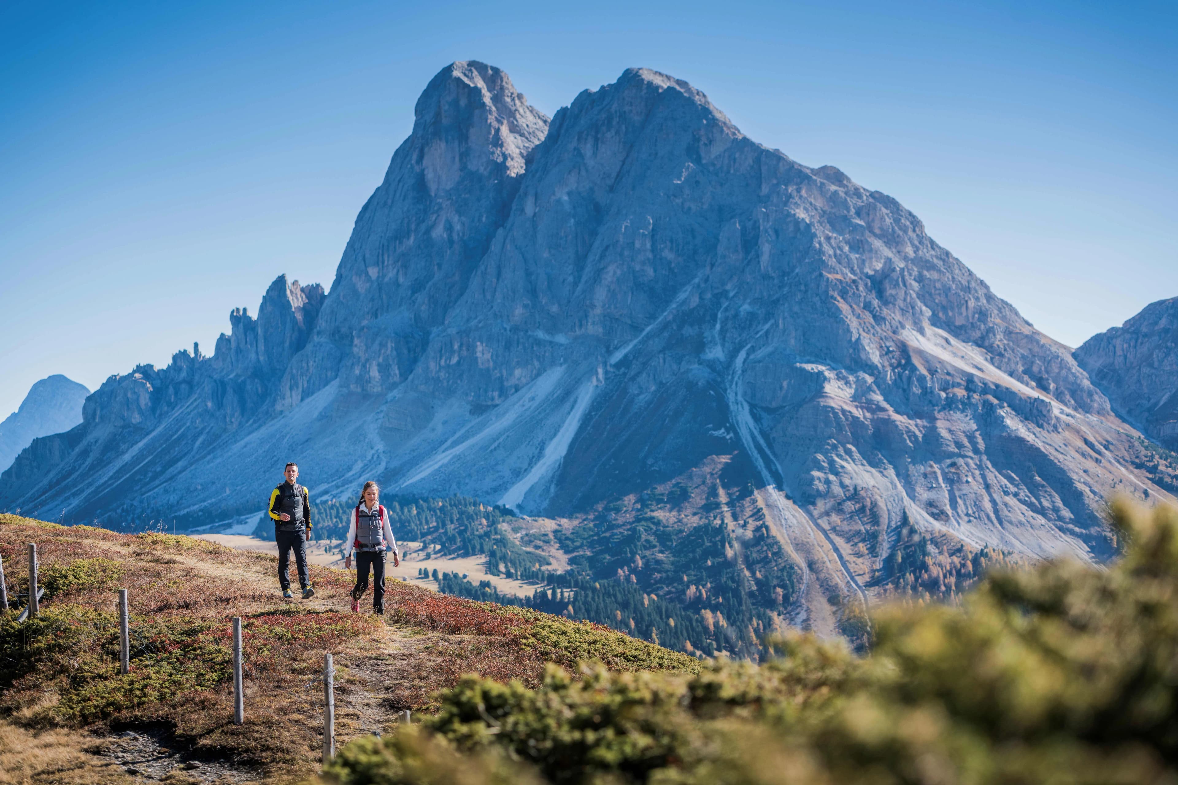 Taxi & Ride Service in the Dolomites | tommy Bolzano, Merano & Bressanone App